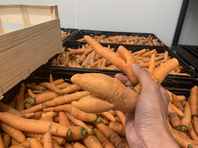 Les carottes moches que nous utilisons pour nos produits