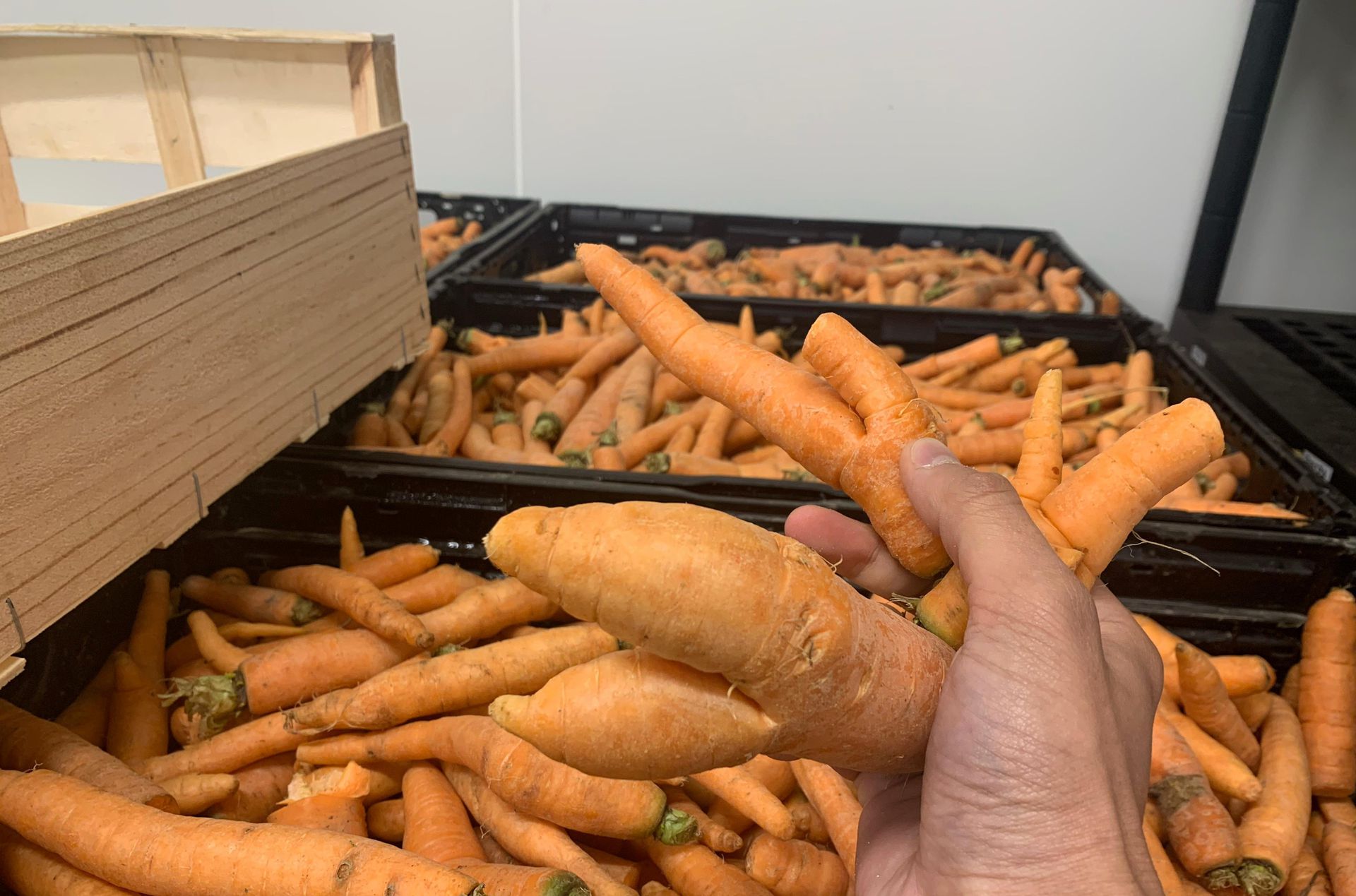 Les carottes moches que nous utilisons pour nos produits